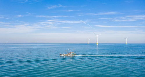 中國海上風電再次領先 40層樓高風力發電機，一臺轉動創造4億元陸路國際貨運業務