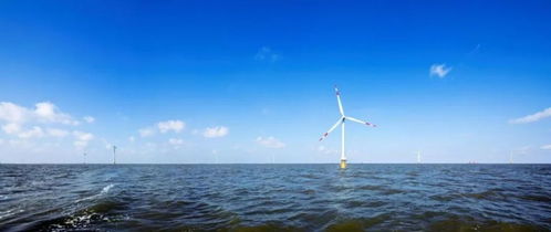 快馬加鞭還是徐徐圖之 中國海上風電的關鍵抉擇